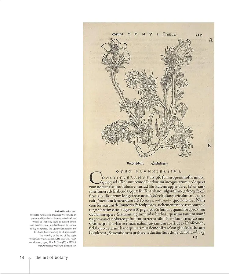 Botany for the Artist - Сара Сімблет - фото 2