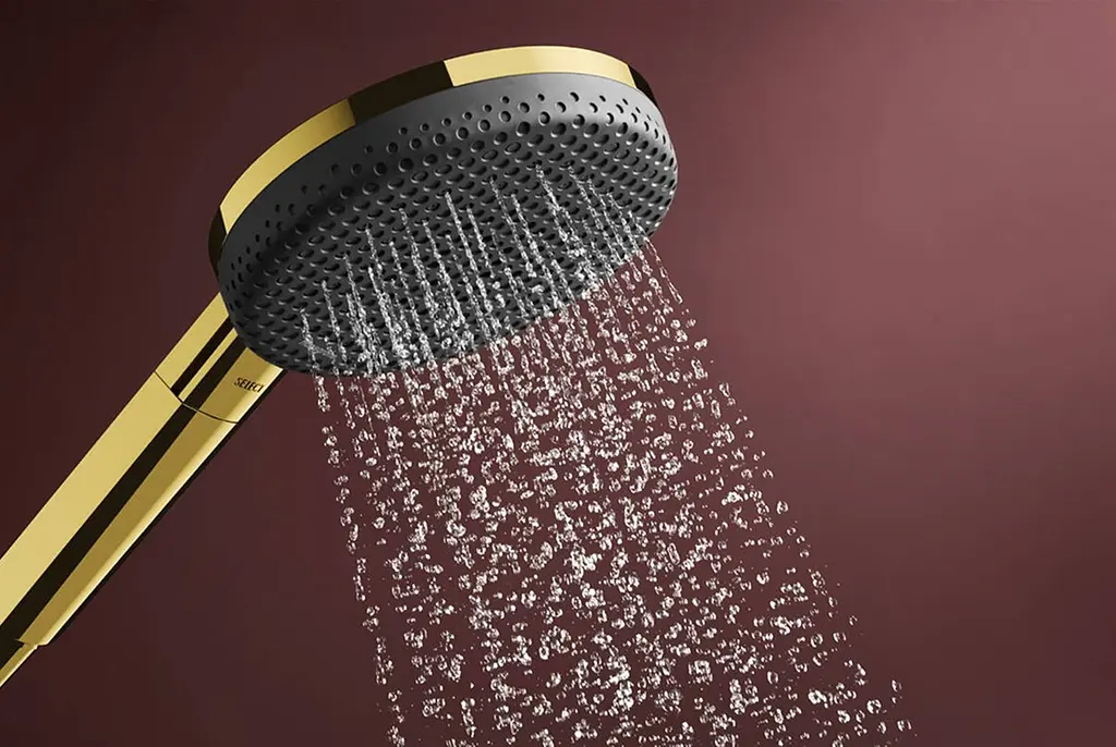 Ручний душ Hansgrohe Raindance Alive Select S EcoSmart polished gold optic 24511990 - фото 5