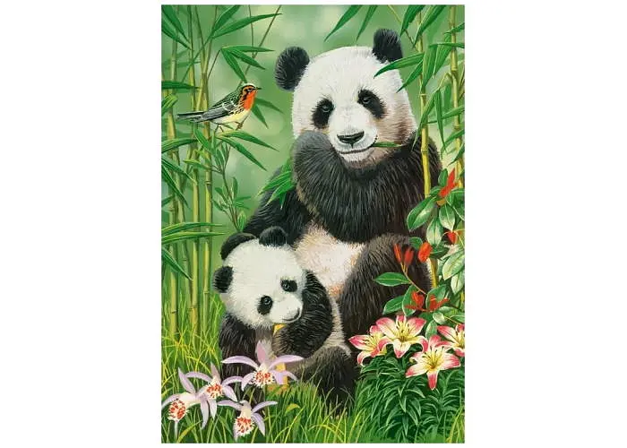 Пазл Castorland Сніданок панд 1000 ел. (C-104987) - фото 2