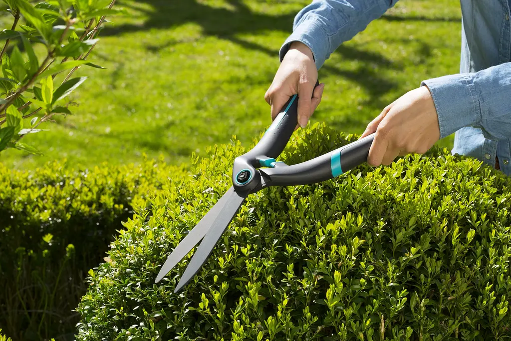 Ножиці для живоплоту механічні Gardena PrecisionCut для фігурної стрижки (12302-20) - фото 3