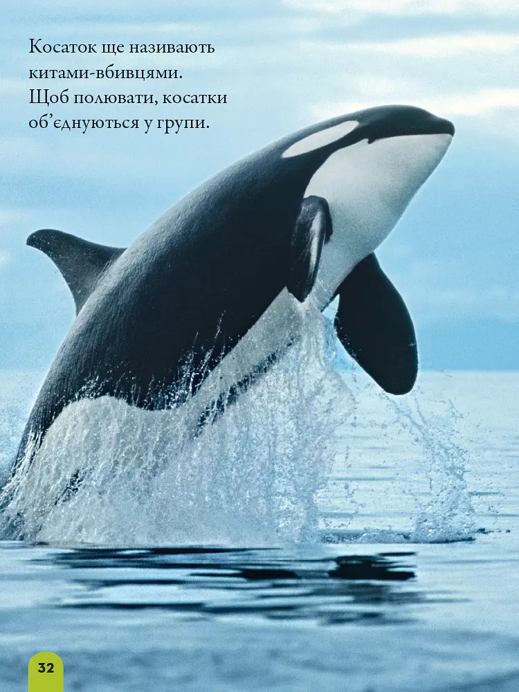 National Geographic. Моя перша енциклопедія. Океани - Кетрін Д. Г'юз - фото 3