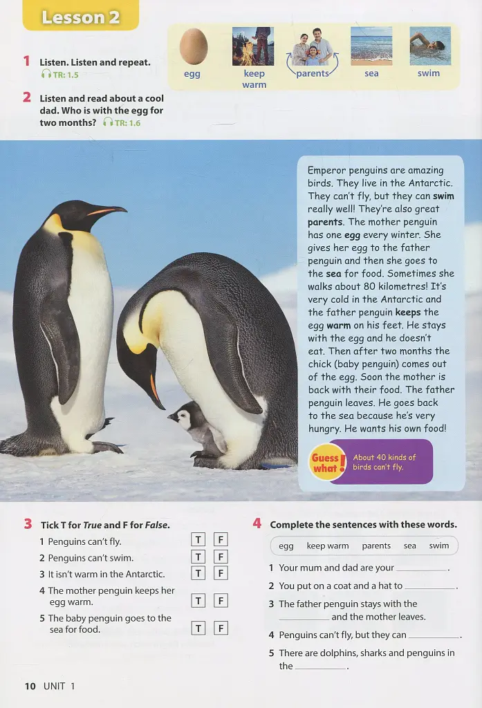 Wonderful World 2nd Edition 3 Student's Book - фото 11