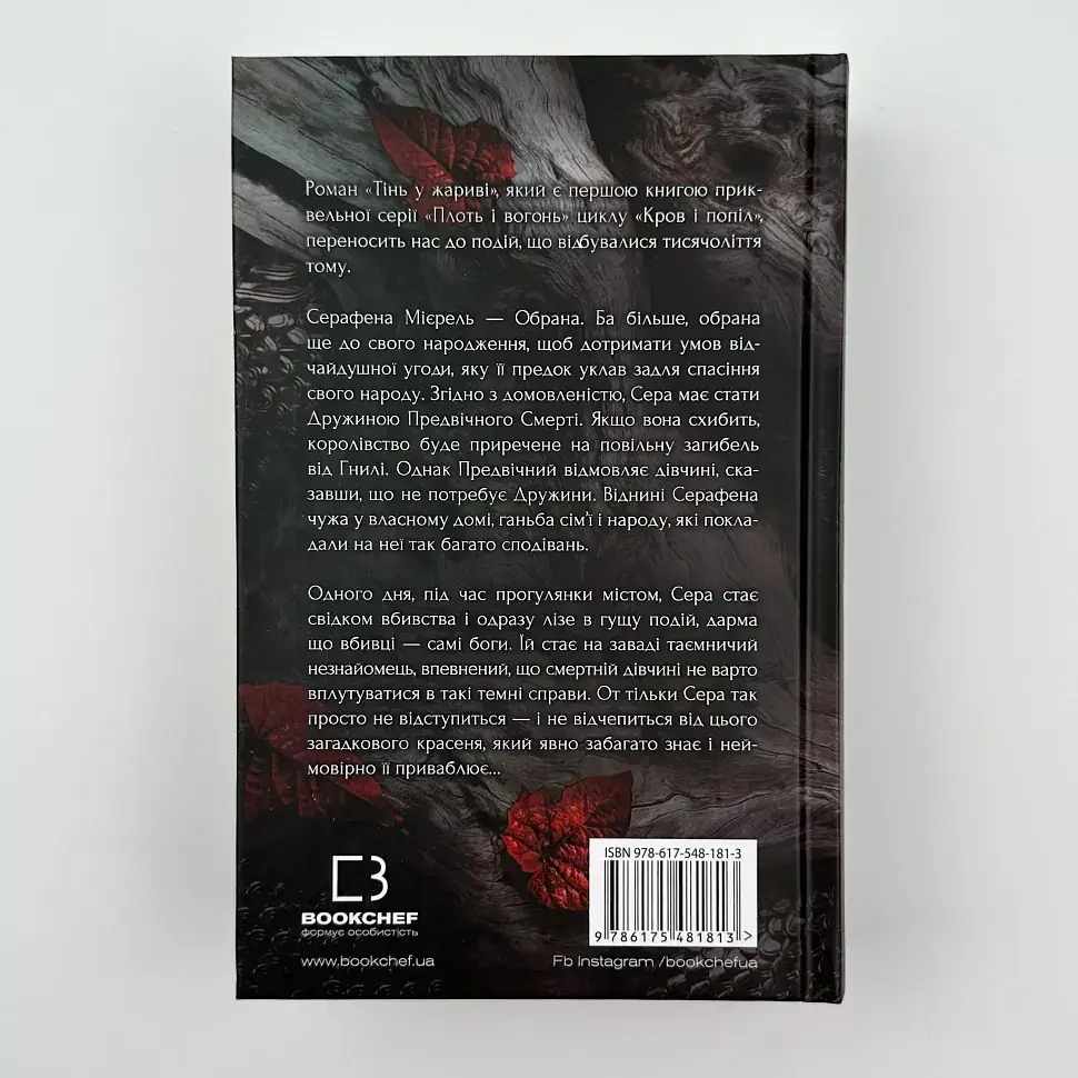 Плоть і вогонь: Тінь у жариві - Арментраут Дженніфер | BookChef, книга українською, нова, тверда - фото 4