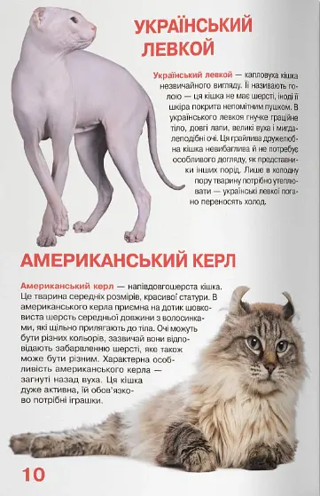 Велика книжка. Кішки - Олег Зав'язкин - фото 4