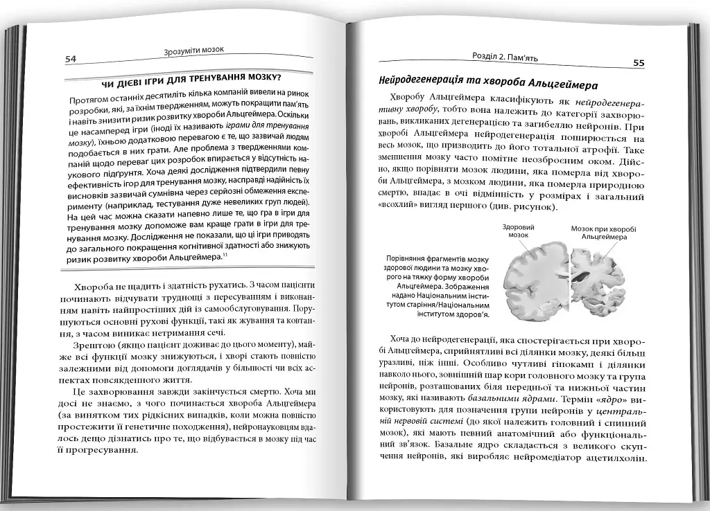 Зрозуміти мозок. Нейронаукові дослідження механізмів роботи мозку і його викрутасів - фото 3