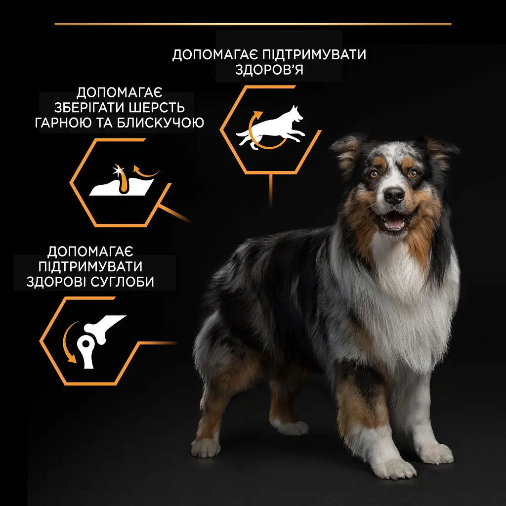 Сухий корм Purina Pro Plan Medium Adult 1+ Everyday Nutrion для дорослих собак середніх порід з куркою 14 кг + 2.5 кг (12375801)  - фото 8