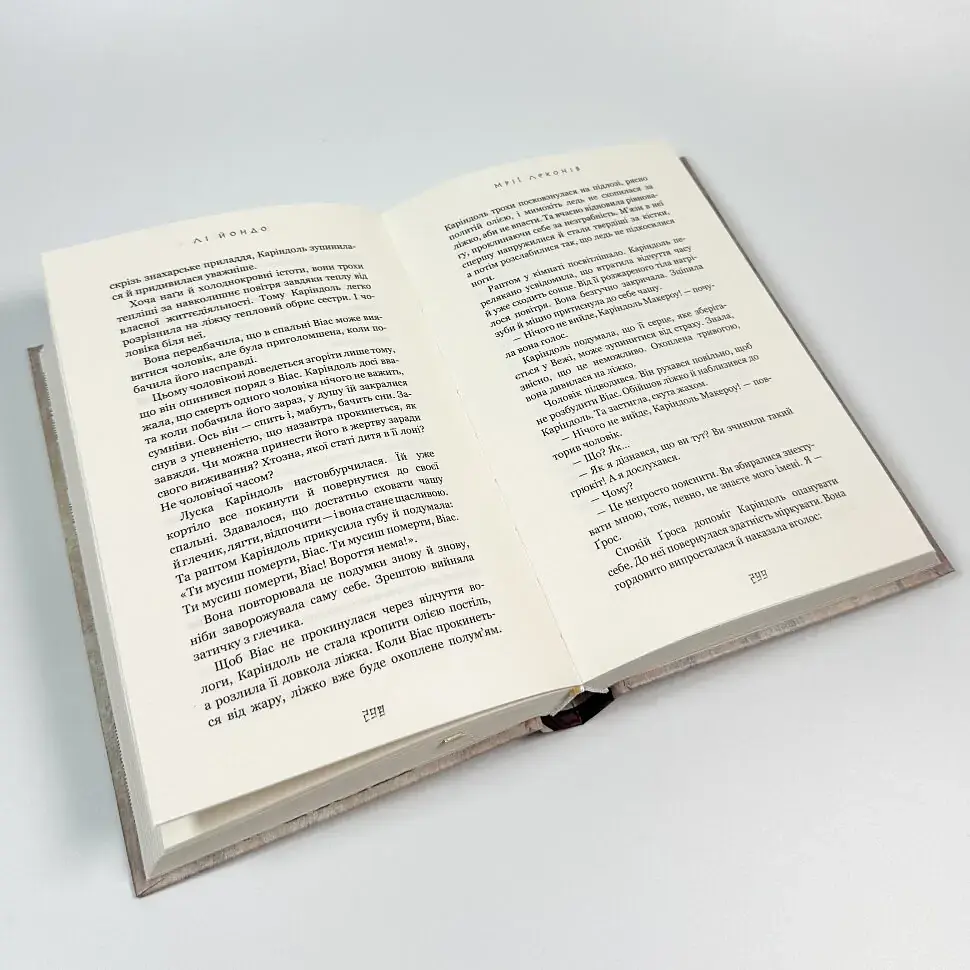 Мрії леконів - Лі Йондо | BookChef, книга українською, нова, тверда - фото 3