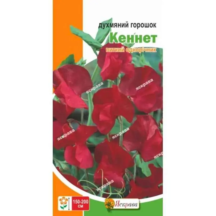Горошок духмяний ЯСКРАВА Кеннет червоний (20 пачок) 1г