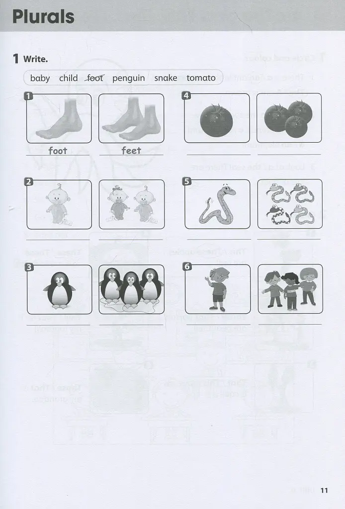 Wonderful World 2nd Edition 2 Workbook - фото 11