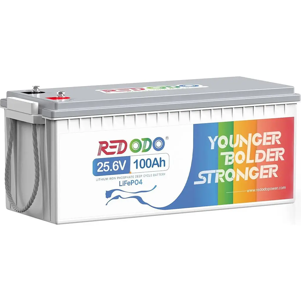 Акумулятор Redodo LiFePO4 24V [25.6V/100Ah/2560Wh] [123764] - фото 2