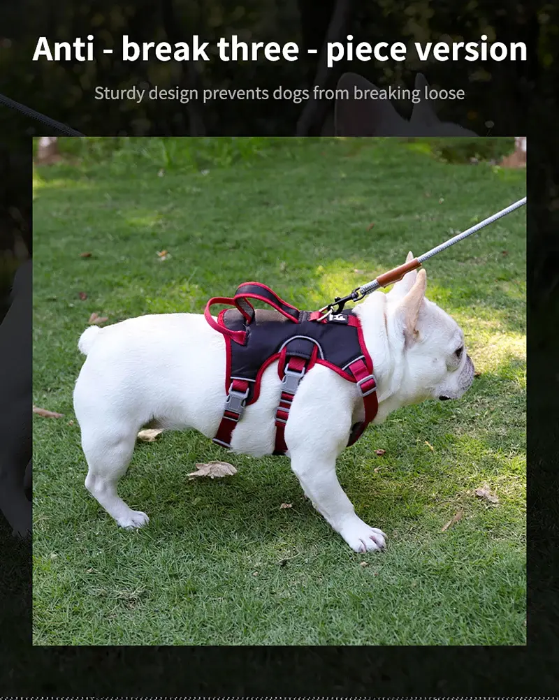 Шлея для собак Derby Pet harness FH107, S Чорний - фото 4