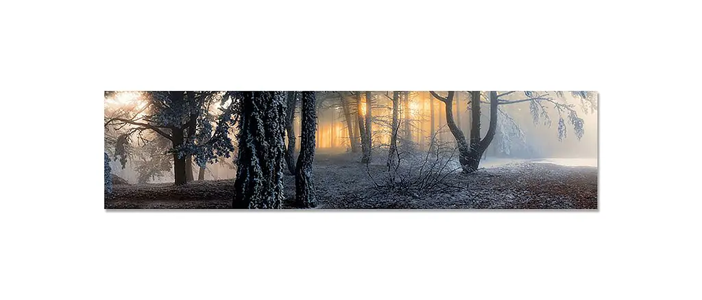 Кухонний фартух Туманний Ліс 3Д вінілова наклейка для кухні ПВХ дерева Природа Сірий Happy Pocket Z181337 - фото 7
