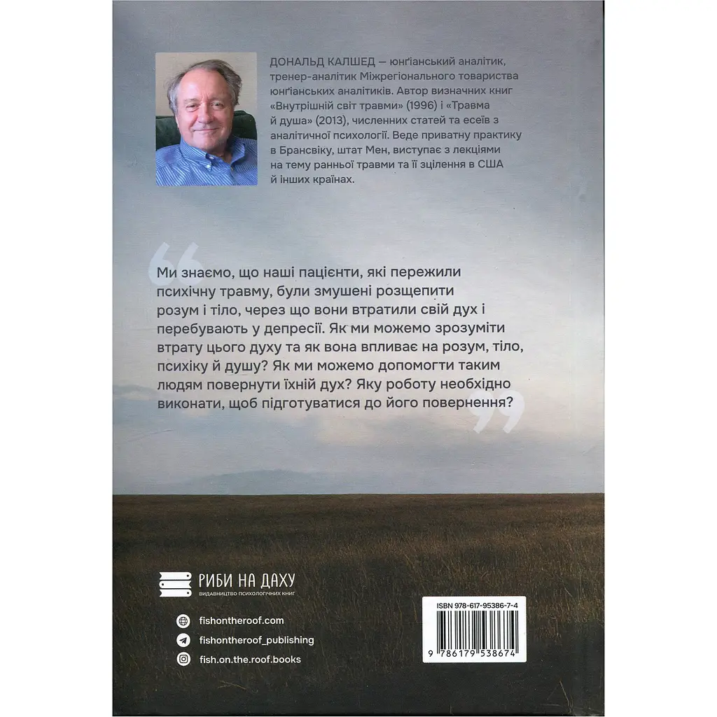 Внутрішній світ травми. Архетипові захисти особистісного духу - Дональд Калшед - фото 2