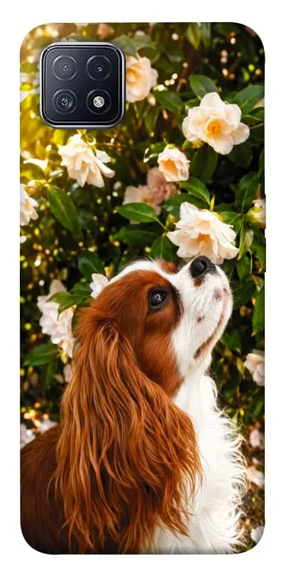 TPU чохол Demsky Flower spaniel для Oppo A73