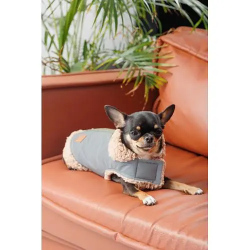 Шлея-жилет Pet Fashion Rob для собак розмір XS2 - фото 7