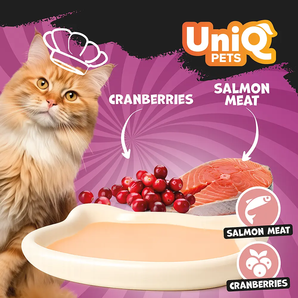 Кремовий вологий корм для кішок UNIQ PETS CAT WET FOOD DELIGHT SHAKE з лососем та журавлиною, 60 г - фото 5