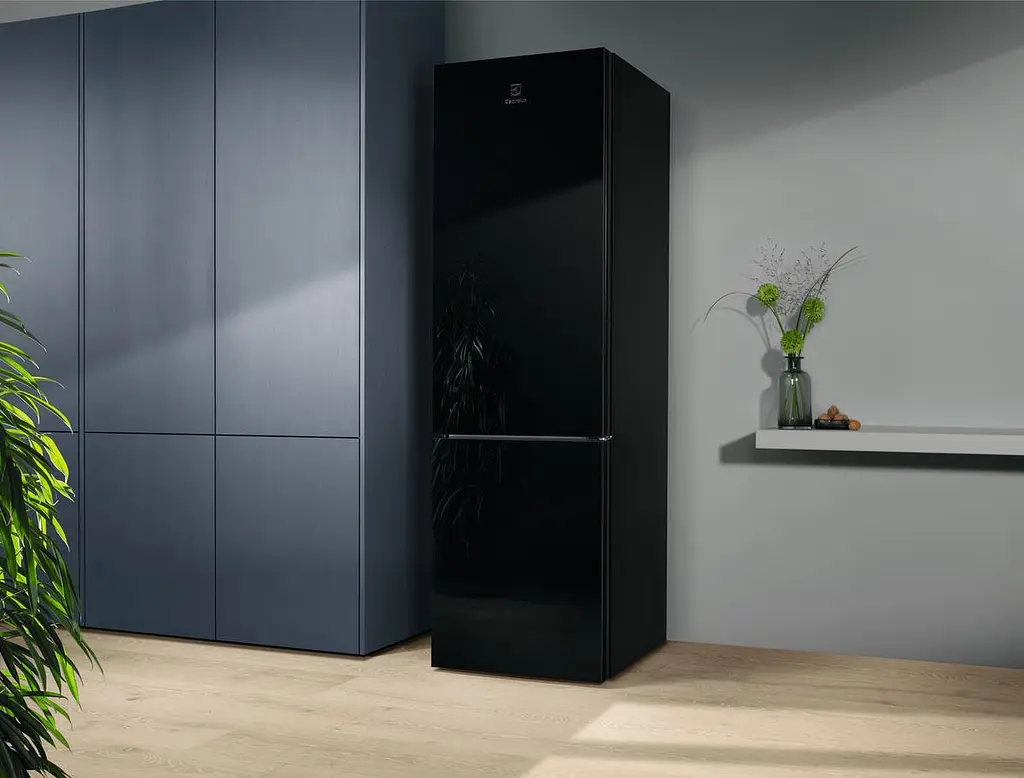 Холодильник Electrolux RNT7ME34K1 - фото 10