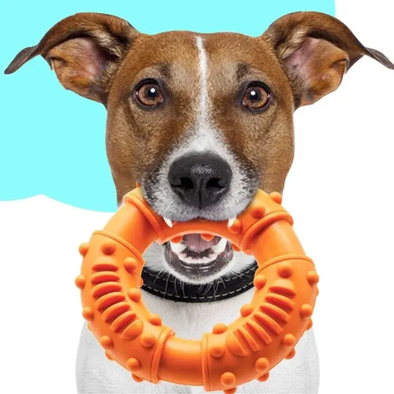 Іграшка-кільце для собак Derby Rubber Dog Chew Toy Ring, блакитне - фото 3