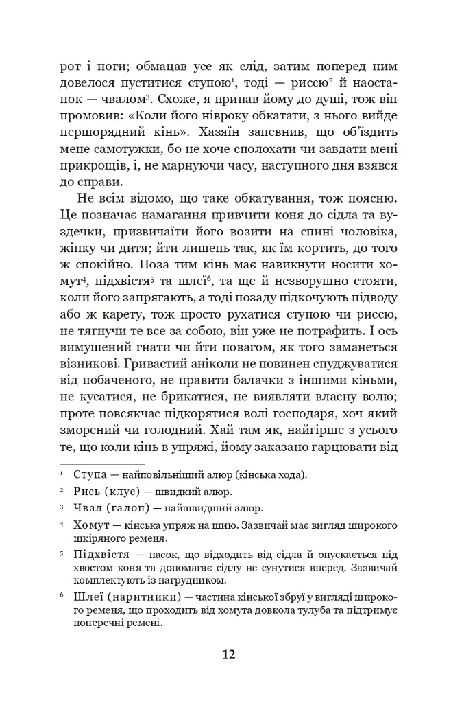 Чорний красунь - Анна С'юелл - фото 10