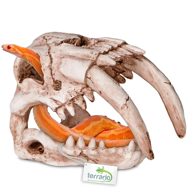 Декорація череп тигра Terrario Sabertooth Skull 13x8,5x11см (15911) - фото 7