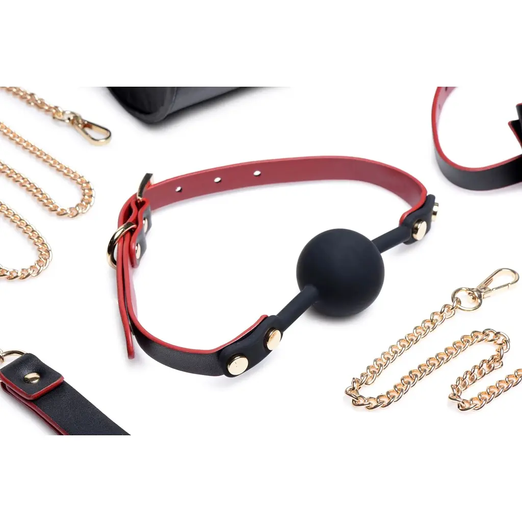 Набір для BDSM Master Series Bow - Luxury BDSM Set With Travel Bag - фото 3