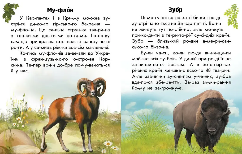 Книга Ранок Читаю про Україну. Тварини гір - Юлія Каспарова (С366021У) - фото 3