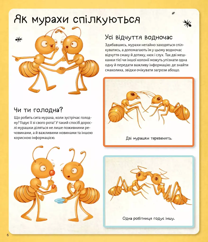 Світ мурах - Штєпанка Секанінова - фото 8