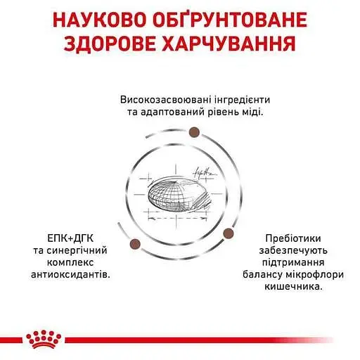 Сухой корм для кошек при заболеваниях печени Royal Canin Hepatic Feline, 2 кг - фото 5