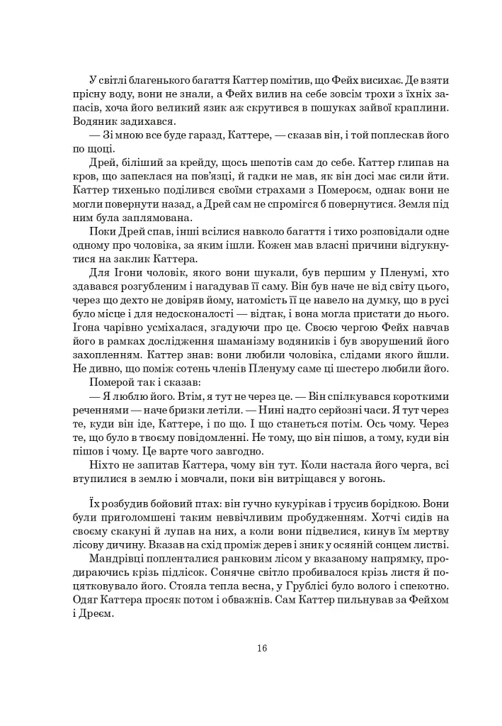 Залізна Рада - фото 11