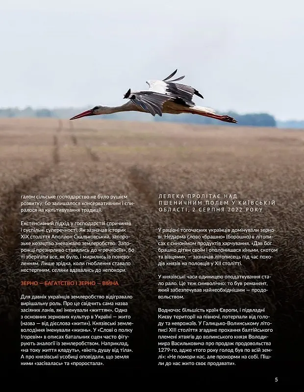 Локальна історія №8/2023 (тема "Хліб") - - фото 5