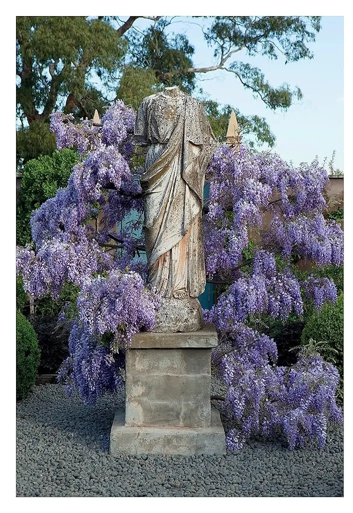 A Life in Garden Design - фото 8