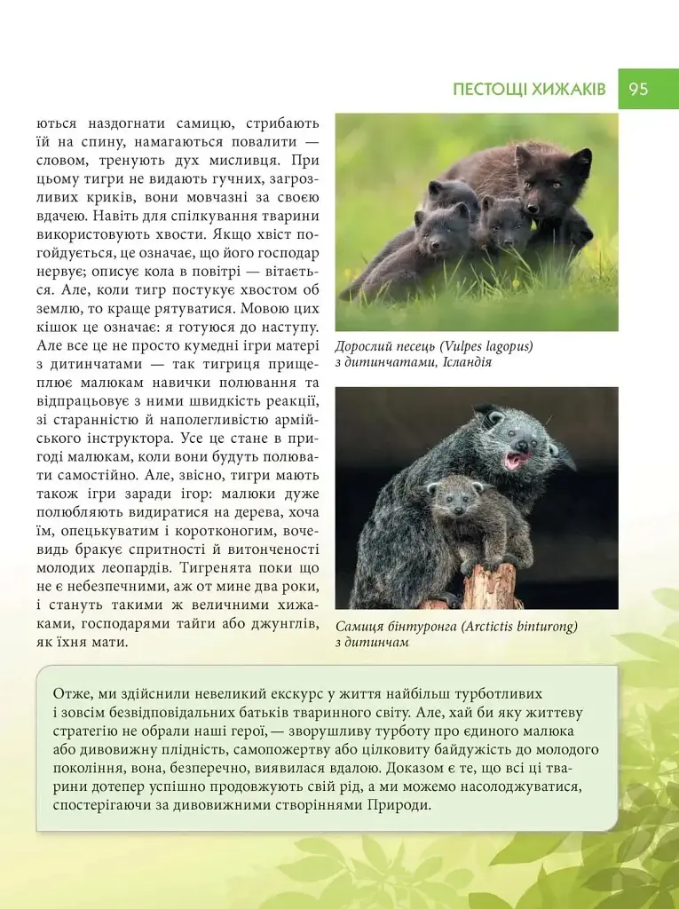 Енциклопедія для допитливих А5. Батьки і діти у тваринному світі - Андрій Гапченко - фото 5