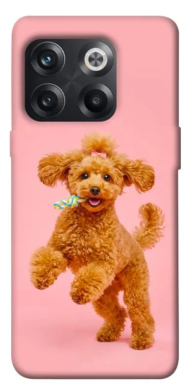 TPU чохол Demsky Happy poodle для OnePlus 10T