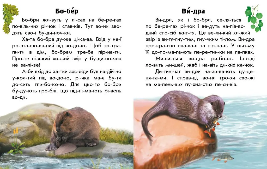 Книга Ранок Читаю про Україну. Тварини річок та морів - Юлія Каспарова (С366024У) - фото 2