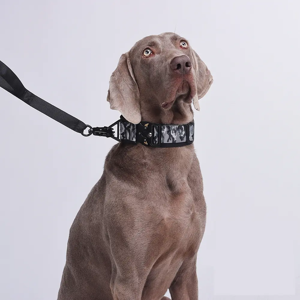 Нашийник для собак Woofy, нейлоновий з металевою пряжкою-фастекс, світловідбиваючий, сірий/камуфляж, XL - фото 5