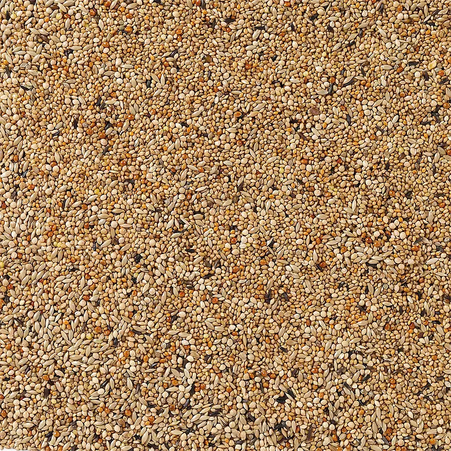 Повнораціонний корм для тропічних птахів, в`юрків Deli Nature Premium Foreign Finches 1 кг 28224 - фото 2