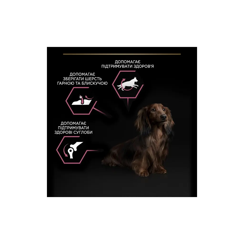 Сухий корм для собак Purina Pro Plan Small&Mini Sensitive Skin з лососем 7 кг (7613035123441) - фото 9