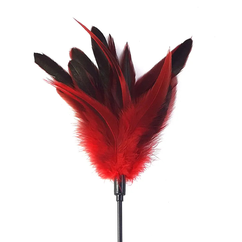 Лоскітка з пером півня Art of Sex – Feather Paddle, червона - фото 2