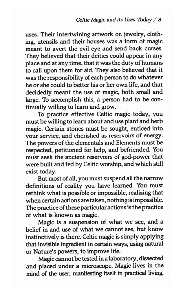 Celtic Magick - Д. Дж. Конвей - фото 10