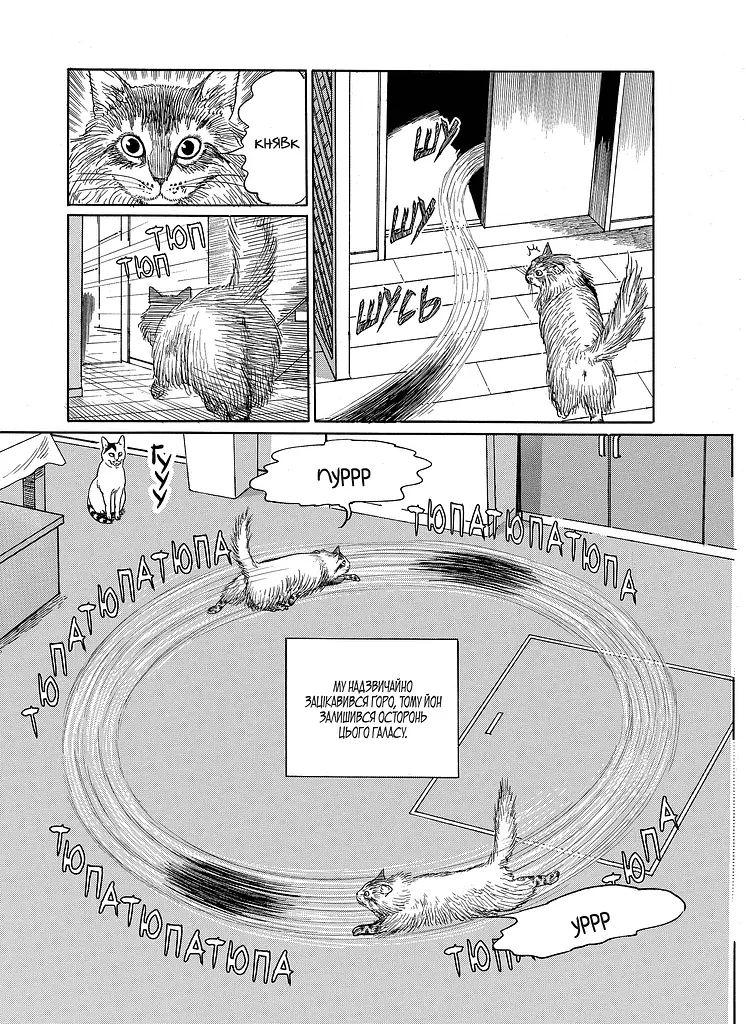 Манґа Котячий щоденник Джюнджі Іто: Йон та Му - Джюнджі Іто - фото 2