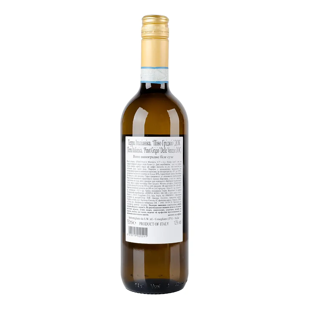 Вино Terra Italianica Pinot Grigio Delle Venezie DOC біле сухе 0.75 л - фото 3