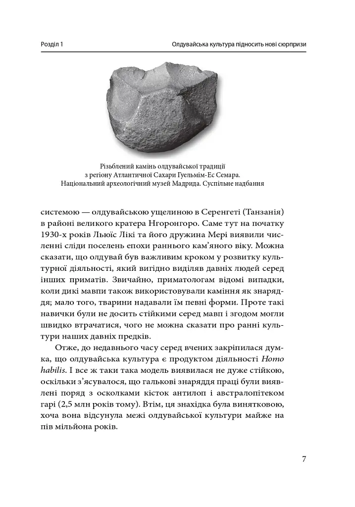 На зорі людської цивілізації - Сергій Клемін - фото 9