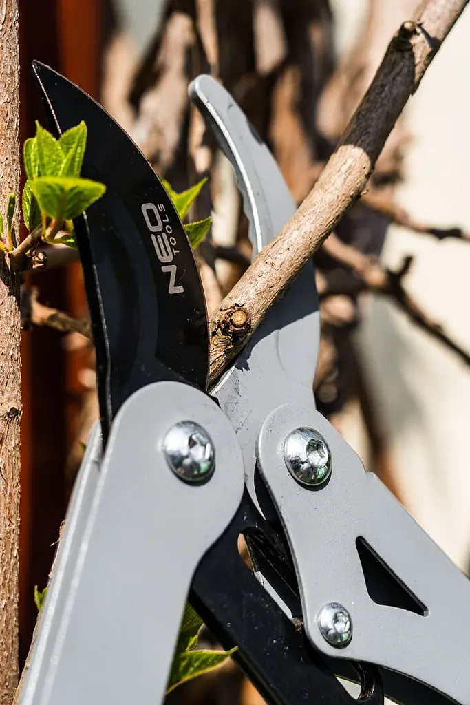 Neo Tools Сучкоріз площинний, d різу 45мм, 710мм, 1292г - фото 4