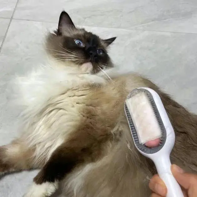 Щітка для тварин Pet Gravity Pet Grooming Comb 4в1 для сухого та вологого вичісування собак та котів рожевий - фото 6