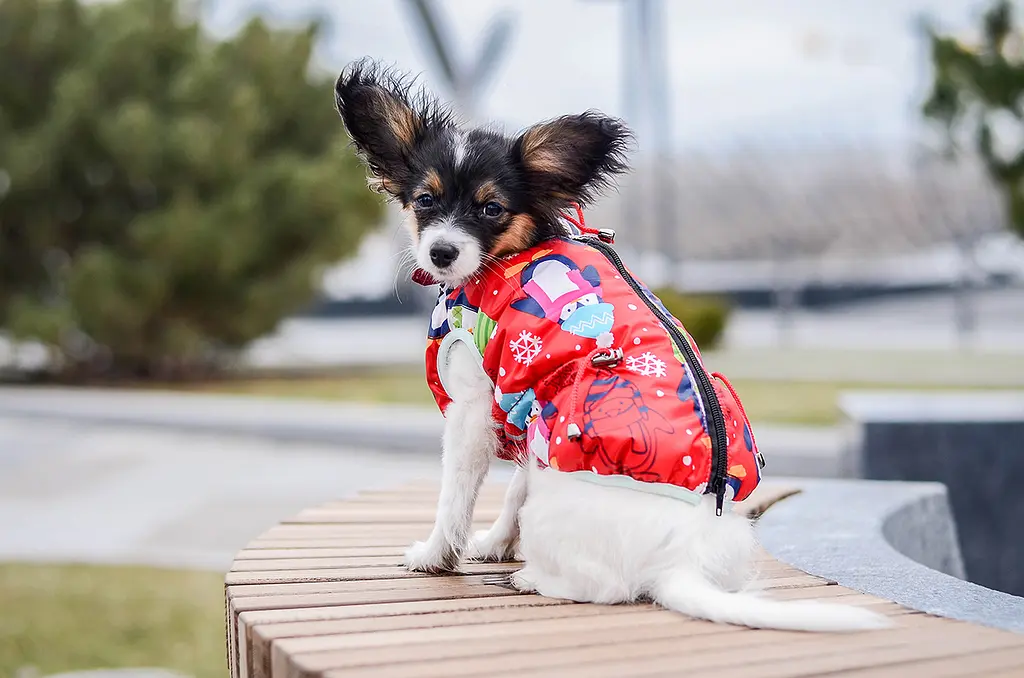 Жилет Smart Pet Пінгвін - фото 4