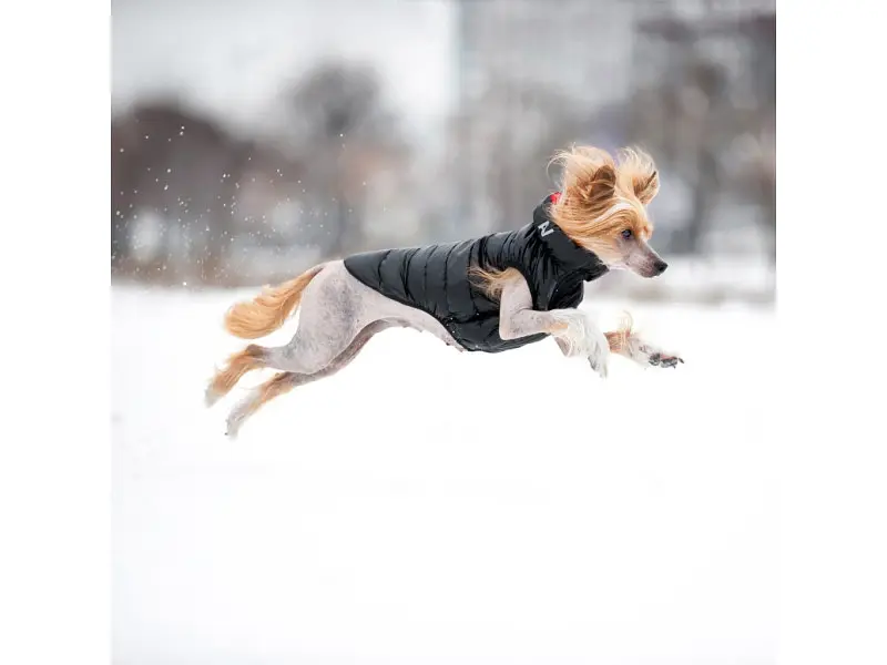 Курточка для животных Airy Vest двусторонняя M 40 красно-чёрная (1828) - фото 3