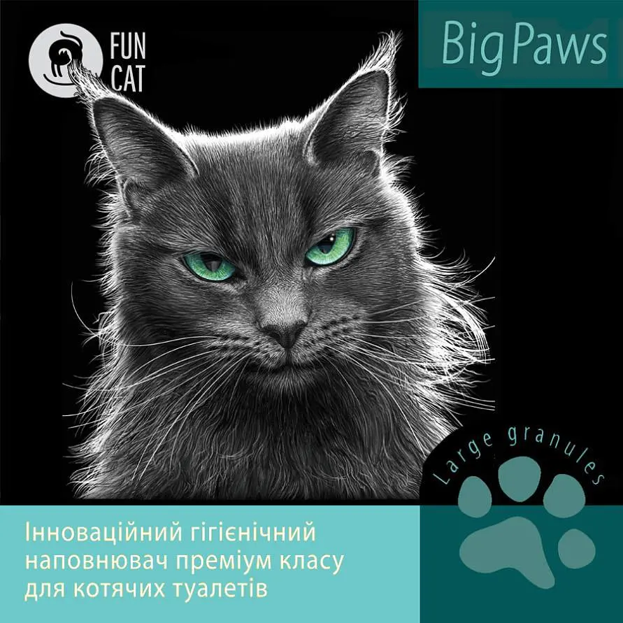 Fun Cat Big Paws наполнитель для кошачьих туалетов для больших кошек 5 л - фото 2