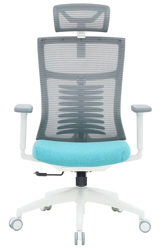 Офісне крісло OfficePro Balance OC550-W-DG-BL (OC550-W-DG-BL) - фото 2