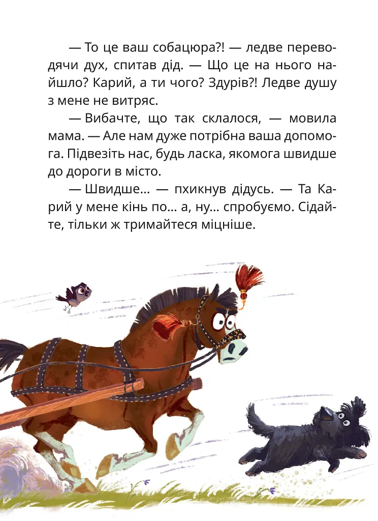Мері - Сашко Дерманський - фото 14