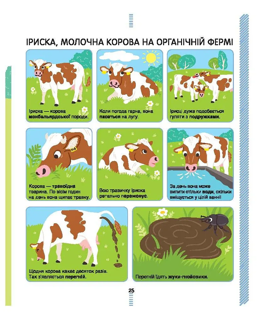 На фермі. Енциклопедія для допитливих - Сесіль Юґла - фото 7